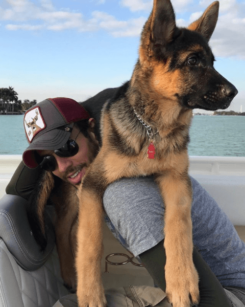 No importa el tamaño, el momento del día o el ánimo de uno, un perro puede hacer que el peor momento luzca una paraíso.