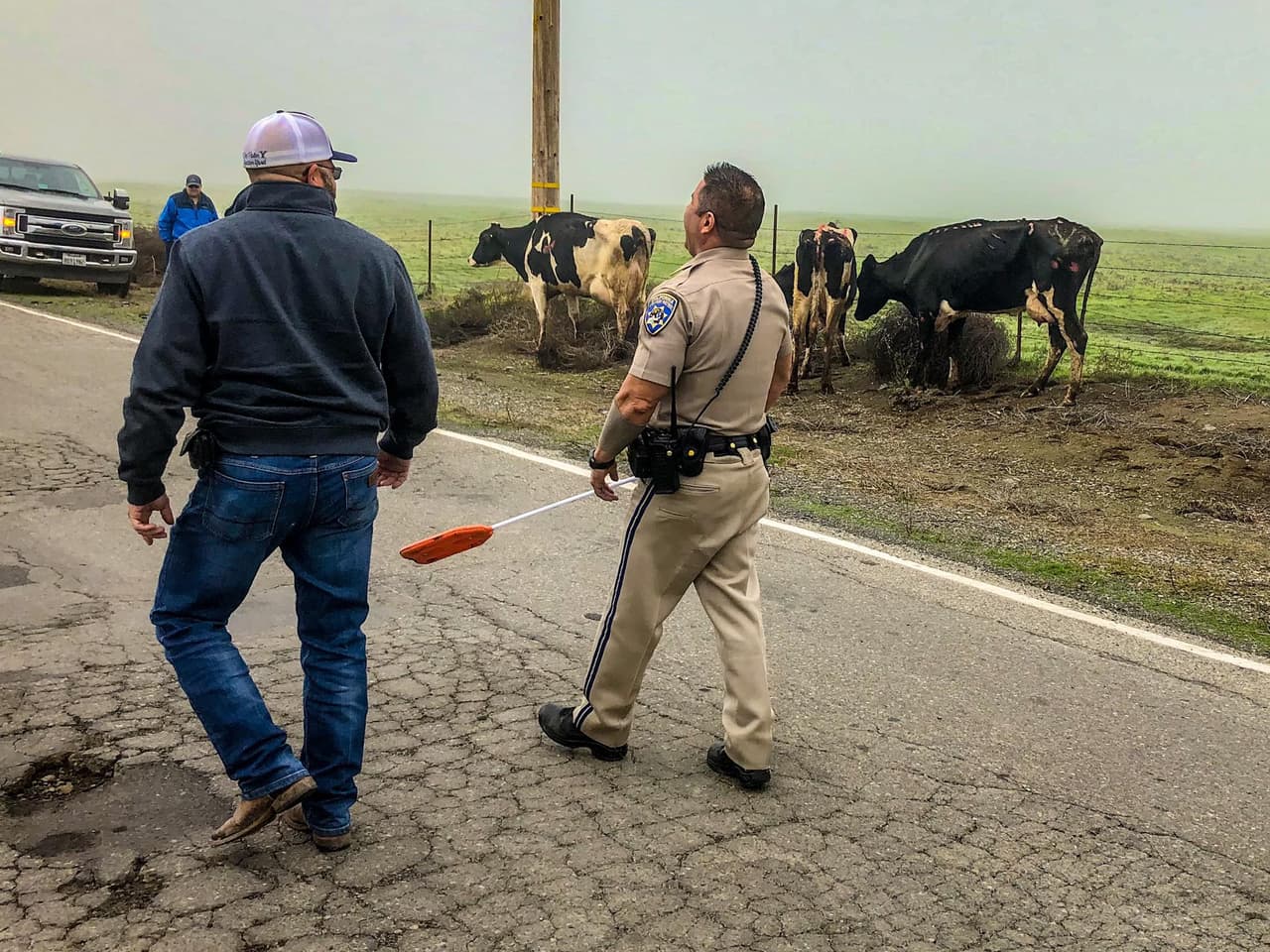 La Patrulla de Caminos de California en Merced publicó en Facebook la hazaña del oficial para agradecer a la comunidad ganadera, ya que sin su ayuda, ellos no serían capaces de resolver estas emergencias.