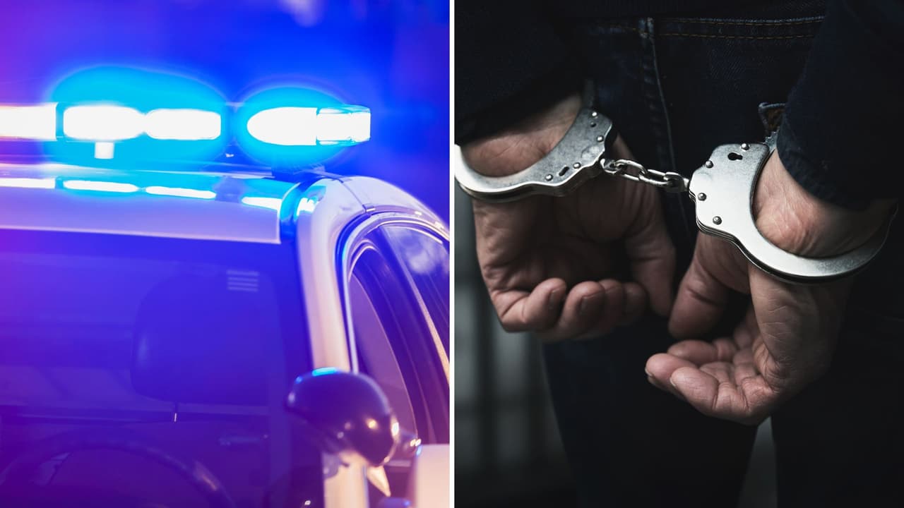 Arrestan en Nueva York a un depredador sexual en serie buscado en el norte de California