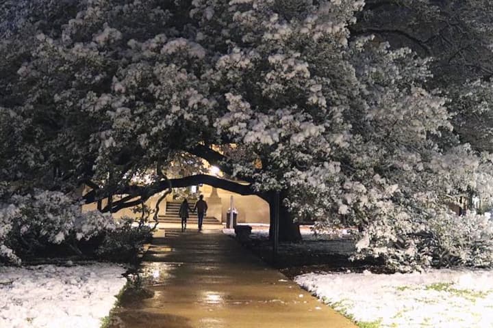 Imagen enviada desde la universidad Texas A&M, en Collegue Station.