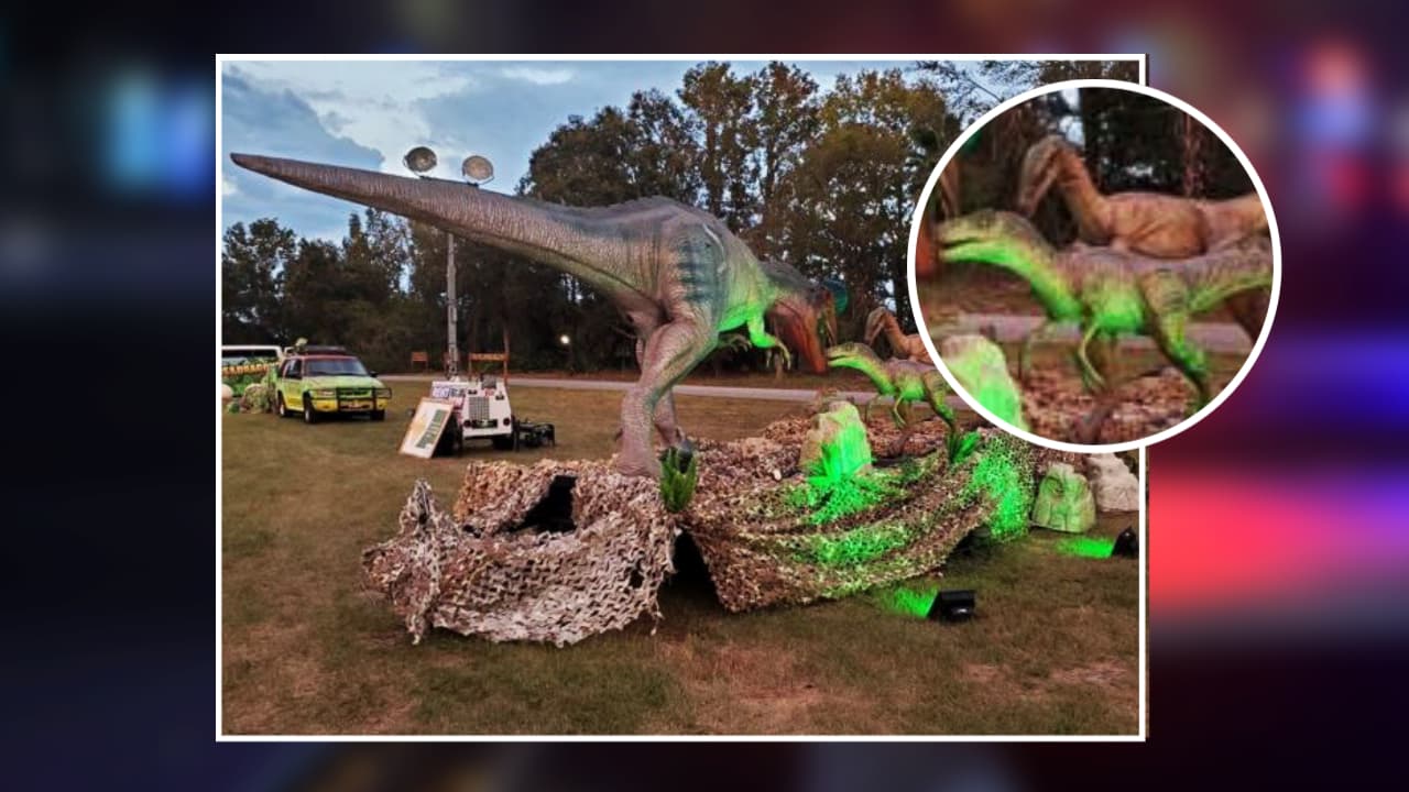 Robaron bebé velociraptor animatrónico de exhibición en New Port Richey