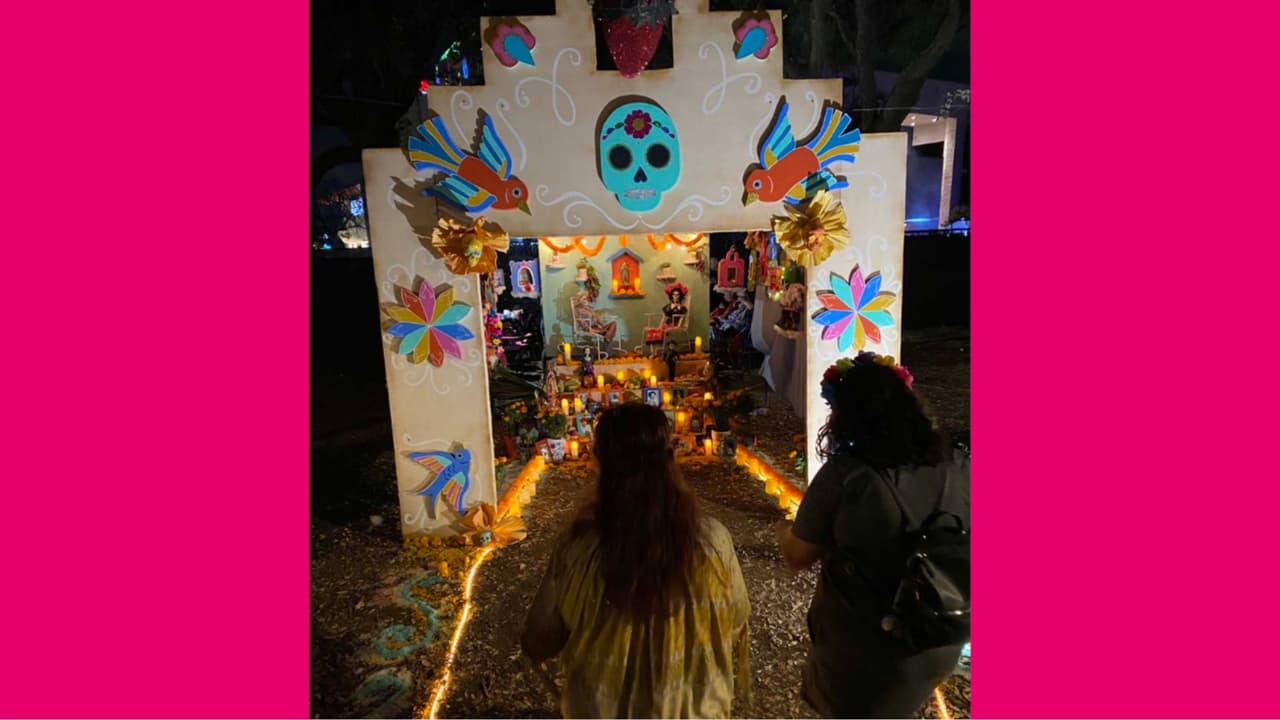 Podrás admirar grupos de perfomers, bailarines, botargas y muñecos, altares móviles, carros alegóricos, alebrijes y otras expresiones artísticas.