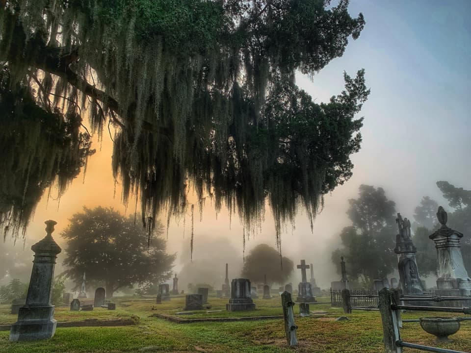<b>Cedar Grove Cemetery (New Bern)</b>: Durante la epidemia de fiebre amarilla que asoló New Bern, Christ Church se quedó sin espacio para enterrar a los muertos, por lo que Cedar Grove se estableció en 1800. Entre quienes han sido enterrados aquí destacan un general confederado hasta varios congresistas, e incluso el inventor de Pepsi, Caleb Bradham.