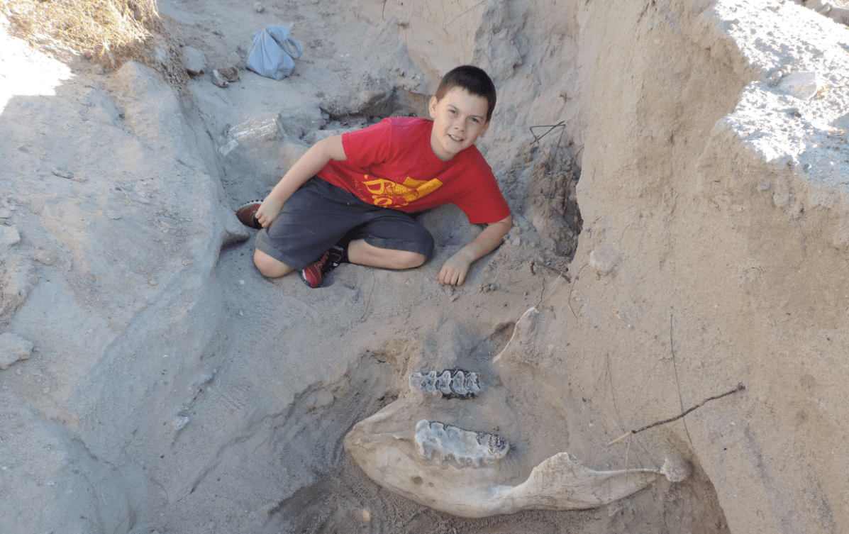 Un niño de 9 años tropieza en una excursión en Nuevo México y cae sobre un fósil de 1.2 millones de años