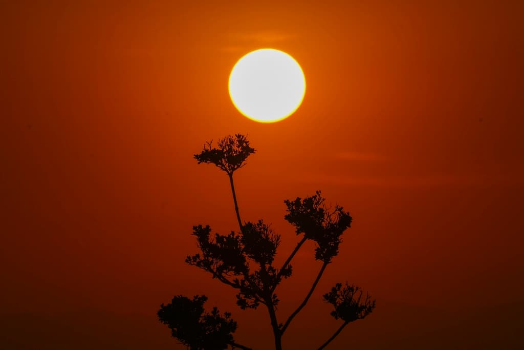 Domo de calor en Florida: pronostican temperaturas de más de 80 grados por las noches