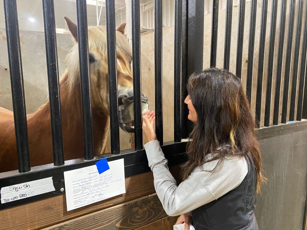 Brandi Hatch, directora de instalaciones del Mount Hood Center, junto a un caballo rescatado en Boring, Oregon, el 13 de septiembre de 2020. Los residentes de Oregon y sus animales se están refugiando de los numerosos incendios forestales que arden en todo el estado. De las al menos 33 personas muertas por los incendios desde principios del verano, 25 murieron solo esta semana.