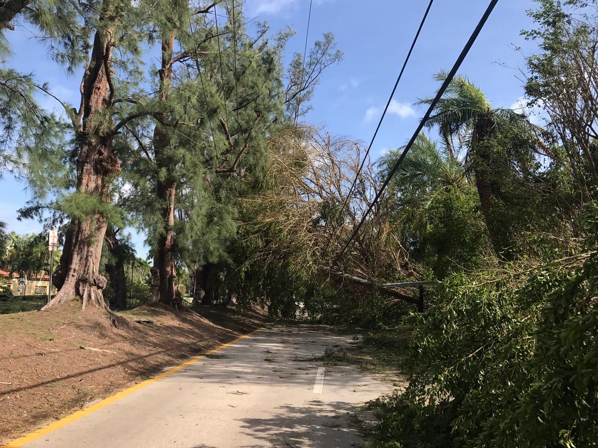 The streets of Miami Beach have a lot of debris and fallen power lines. Crews are working quickly to ensure road safety, according to Miami Beach police. Twitter: Miami Beach Police