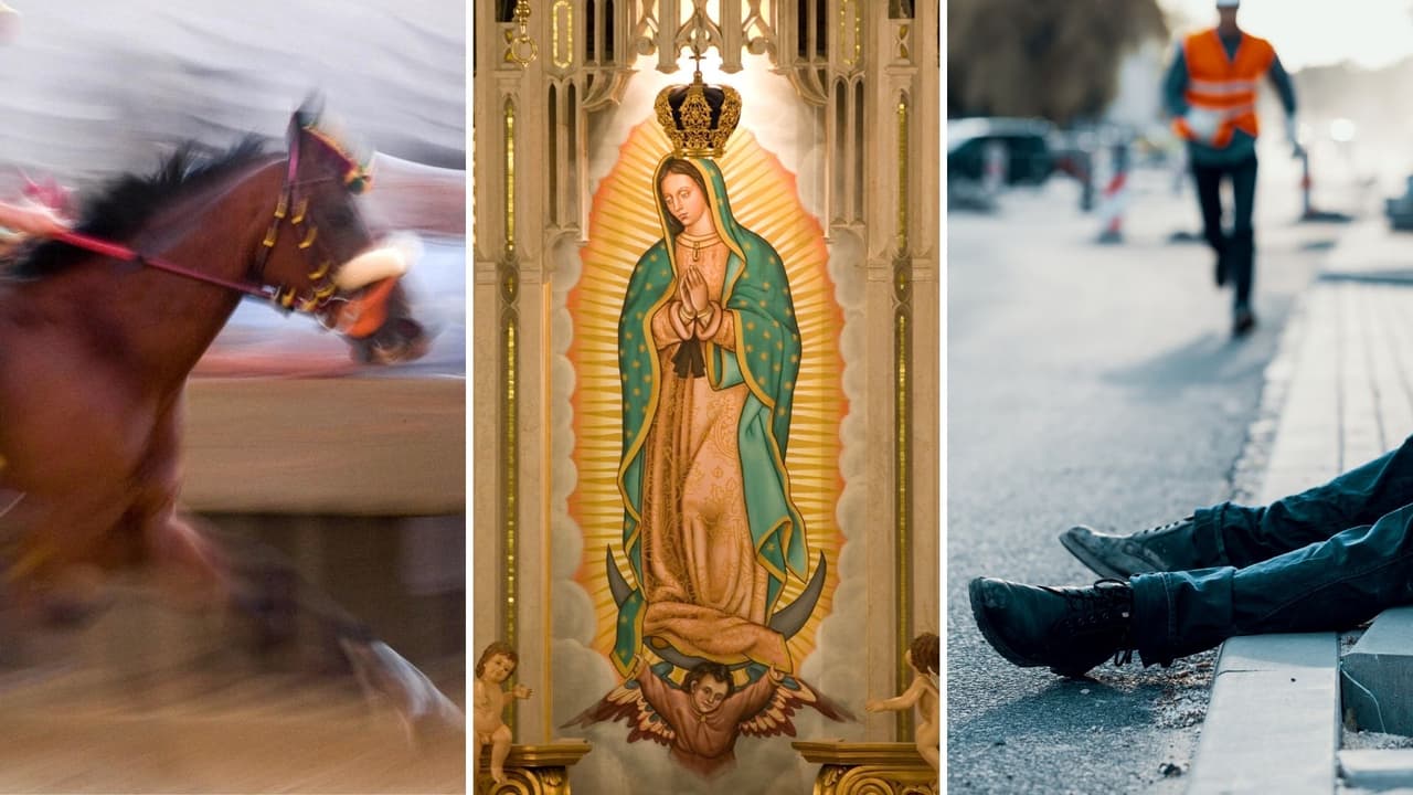 Atropellan a jinete que peregrinaba por el Día de la Virgen de Guadalupe