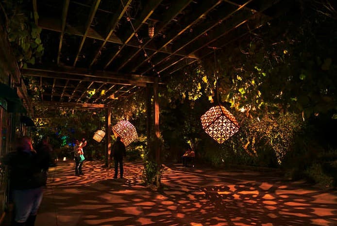 <b><a href="https://jcra.ncsu.edu/events/details.php?ID=2054">Moonlight in the Garden (Del 7 al 9 y del 14 al 16 de noviembre)</a></b>: Una exhibición de iluminación mágica apta para toda la familia, Moonlight in the Garden en JC Raulston Arboretum en la Universidad Estatal de Carolina del Norte es una oportunidad anual para ver los jardines aclamados a nivel nacional ingeniosamente iluminados con luces de colores.