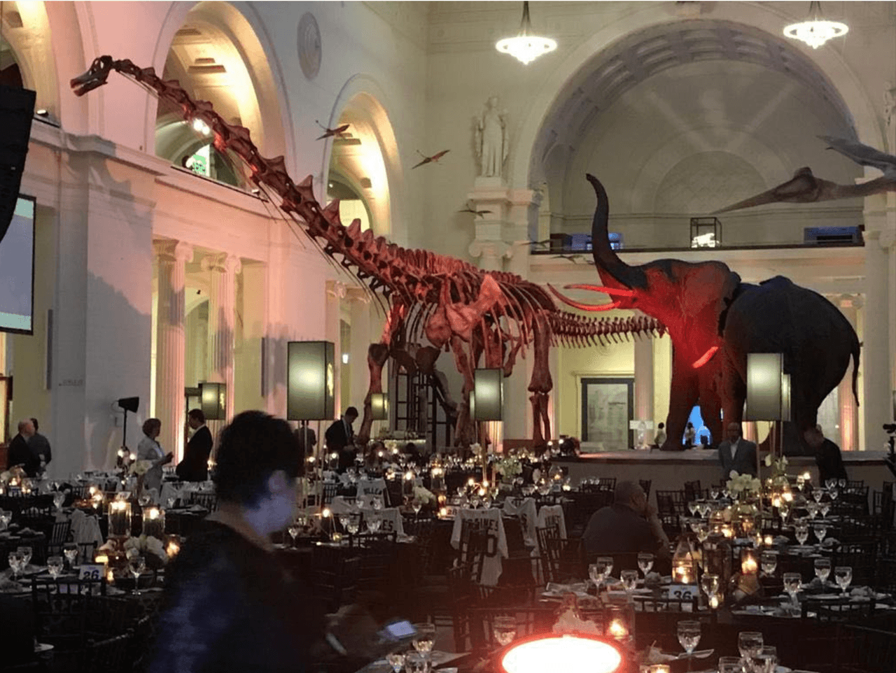 White Sox Charities celebra su noche de gala