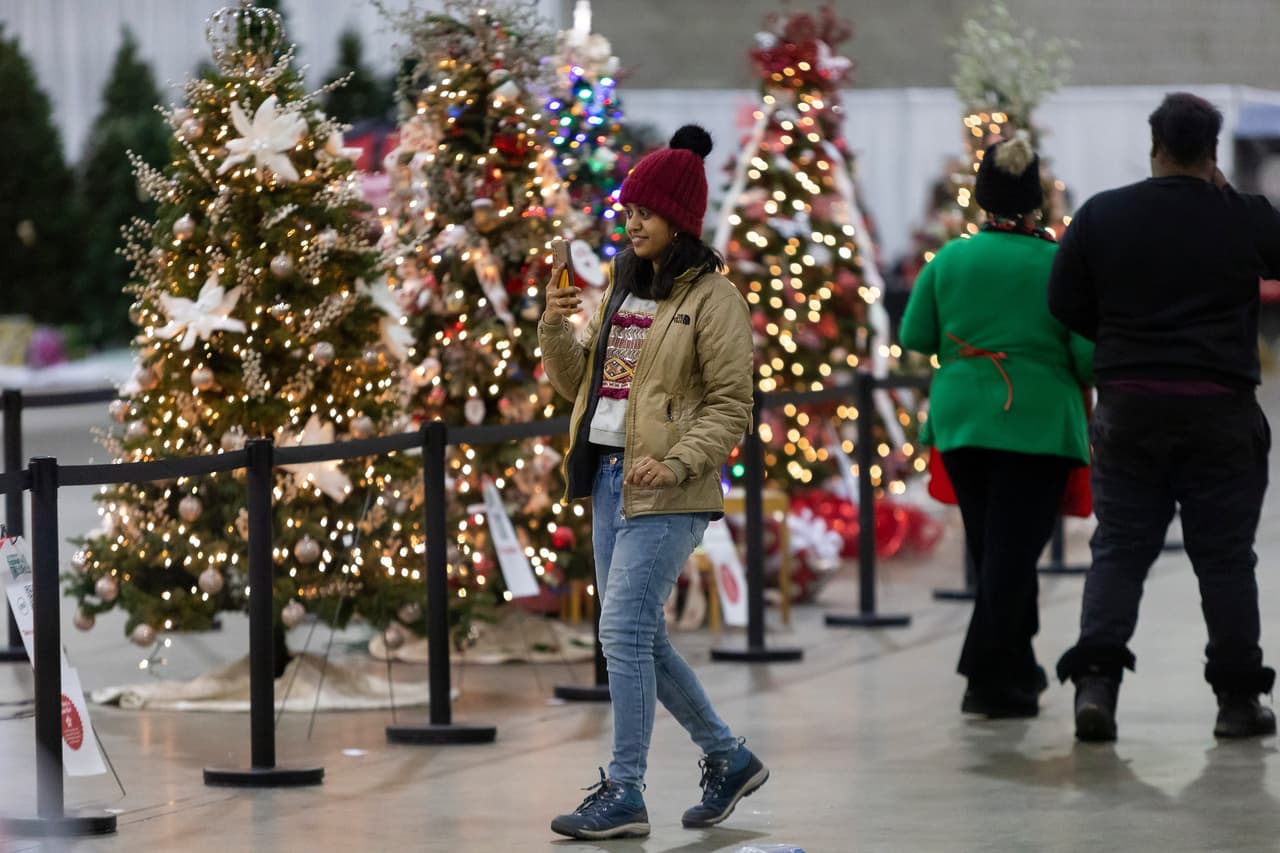 <b><a href="https://gafestivaloftrees.org/">Georgia Festival of Trees (18 al 26 de noviembre)</a></b>. Exhibición anual de árboles navideños en el Georgia World Congress Center.