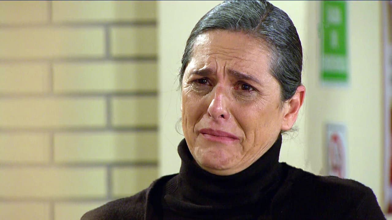 Afortunadamente Honoria no pudo soportar más mentiras y dijo la verdad.