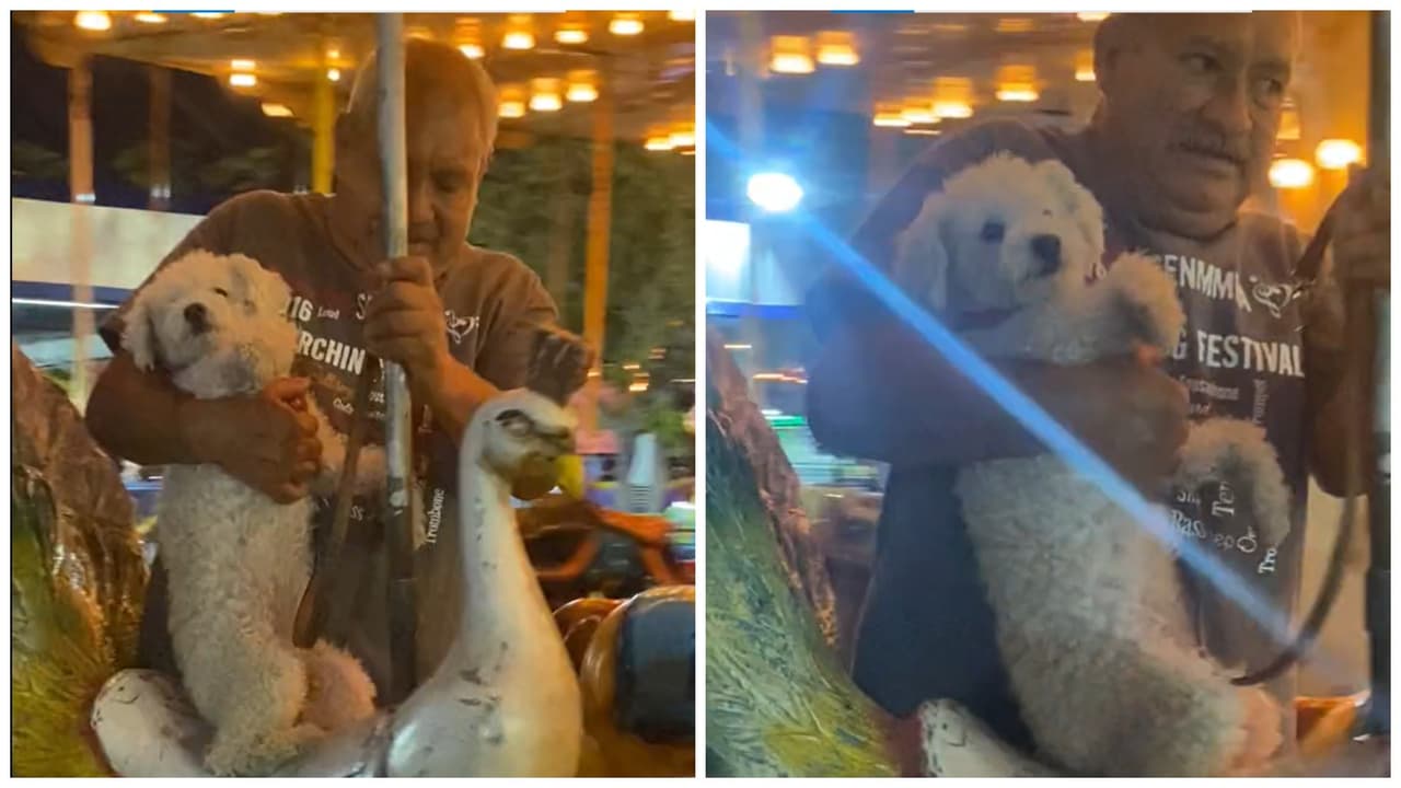 Abuelito mexicano pasea a su perrito en un carrusel como si fuera un niño y conmueve a TikTok