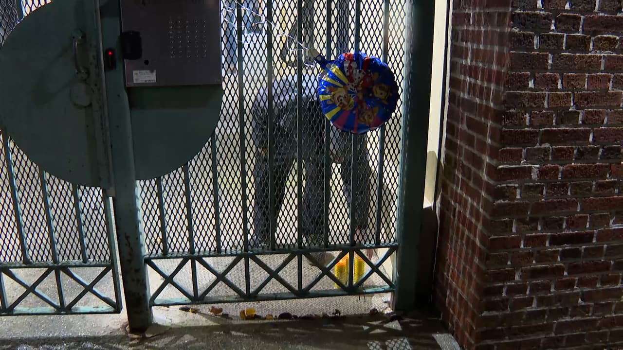 La tragedia conmocionó al vecindario, donde varios de sus vecinos y trabajadores de una bodega cercana los recuerdan como buenas personas.
<br>