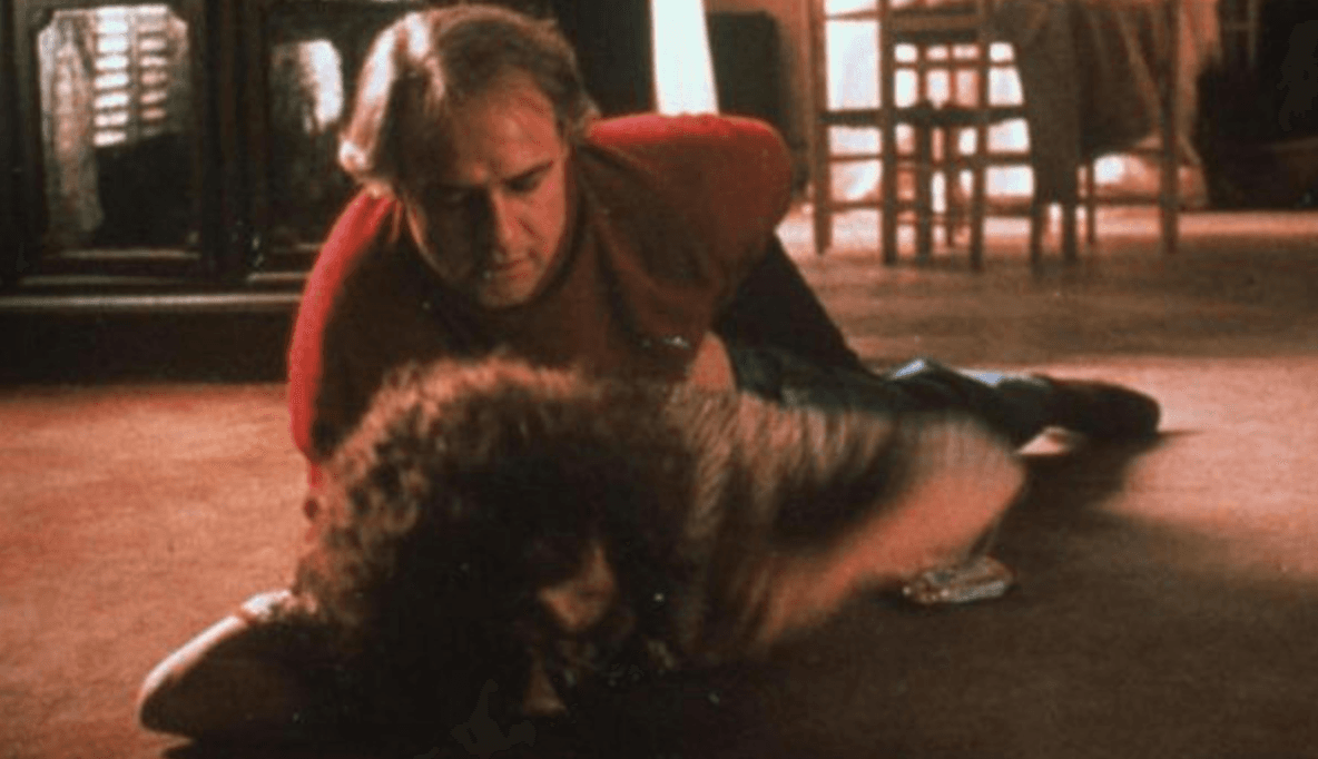 <b>¿Una violación?</b>
<br>Una vieja entrevista de 2013, en la que el director de cine Bernardo Bertolucci confesó que no avisó a la actriz María Schneider de que Marlon Brandon usaría mantequilla en la famosa escena de sexo de 'El último tango en París', se malinterpretó tres años después e hizo que cientos de medios publicaran noticias dando por sentada una supuesta violación.