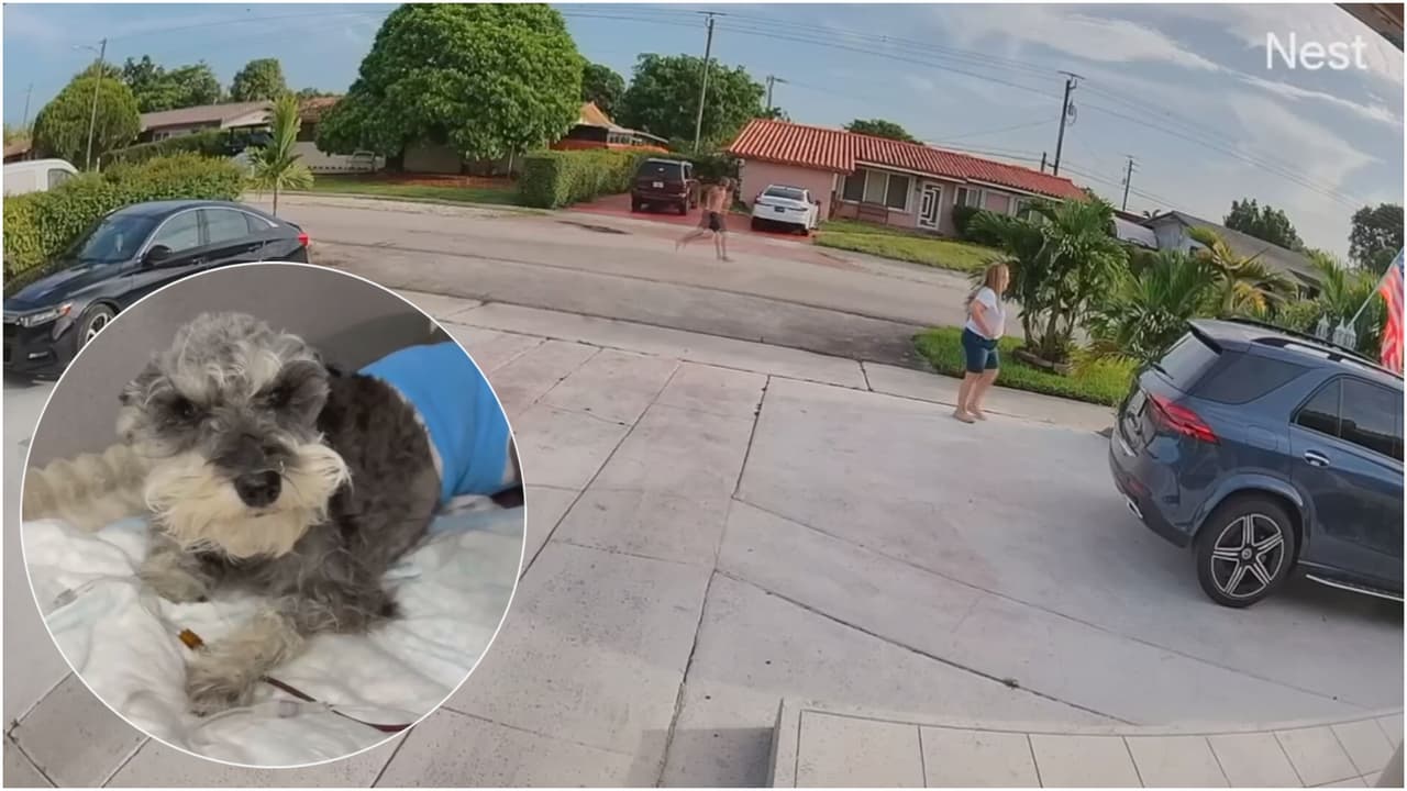 Ataque de un perro en Hialeah deja a un hombre herido y a su mascota en estado crítico