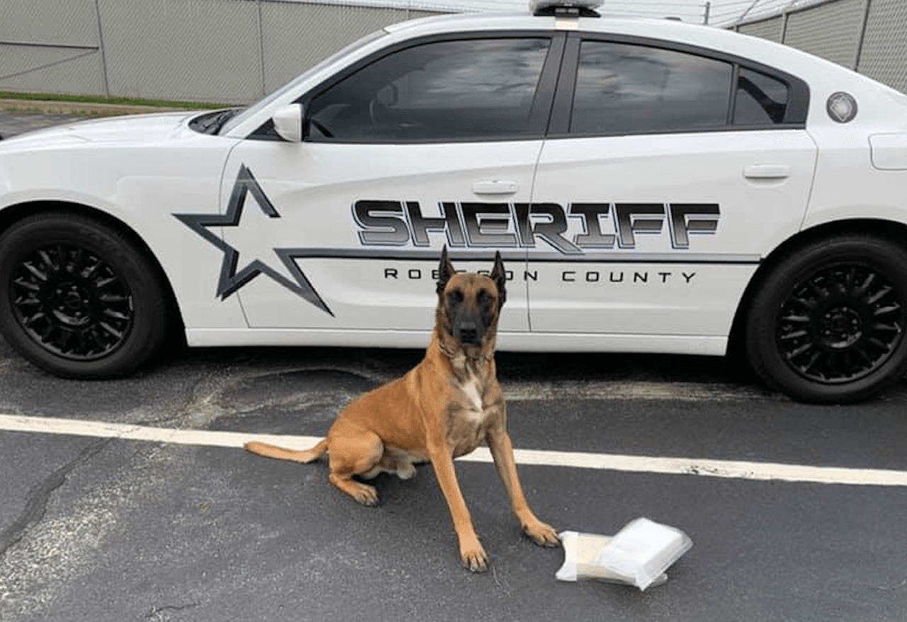 Los sujetos manejaban un Toyota Corolla 2020 cerca de la milla 34. Durante la parada de tráfico un oficial canino detectó aproximadamente 4.4 libras de cocaína, dinero en efectivo y otros insumos, informaron autoridades en un comunicado.