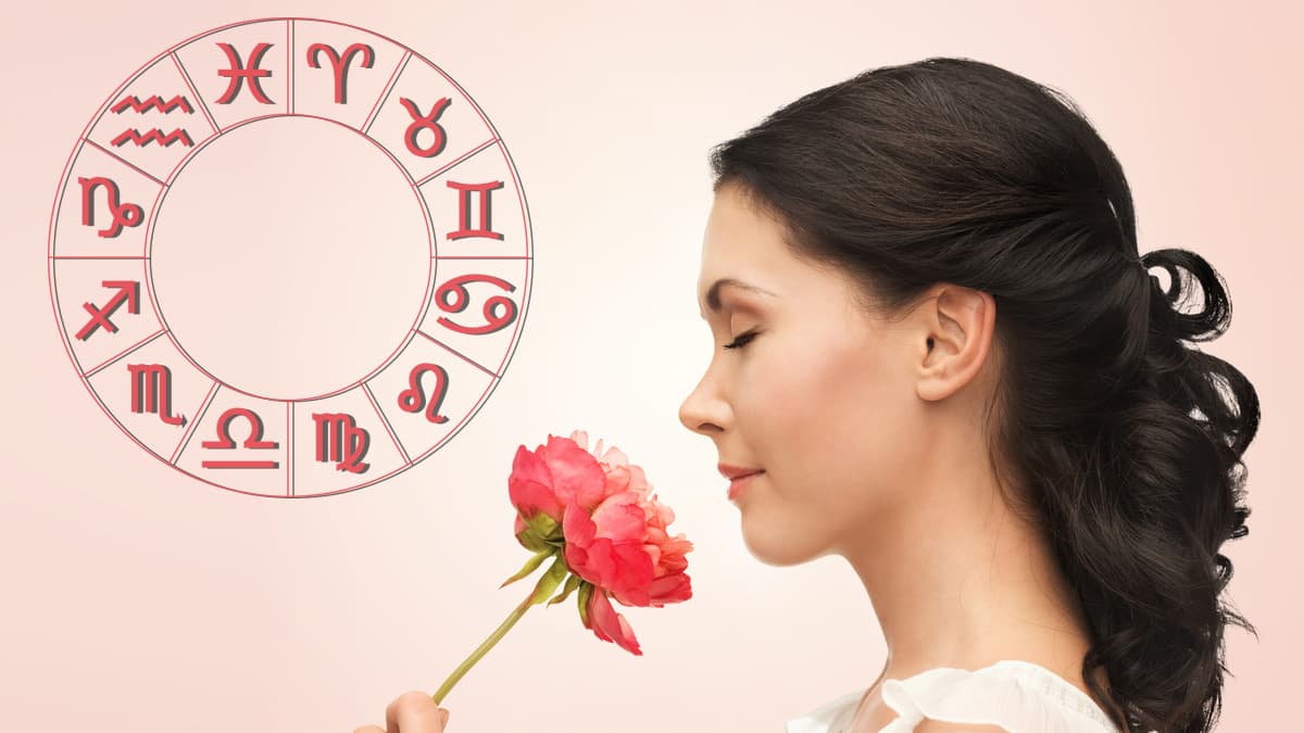 Los aromas nos ayudan a recordar cosas importantes de nuestras vidas, a una persona, evento o situación que nos llenó de alegría.
<br>