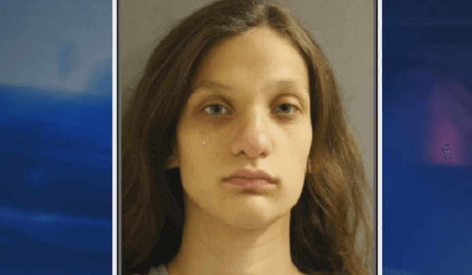 Mujer acusada de abandonar a su bebé entre las hormigas alega que no sabía que estaba embarazada