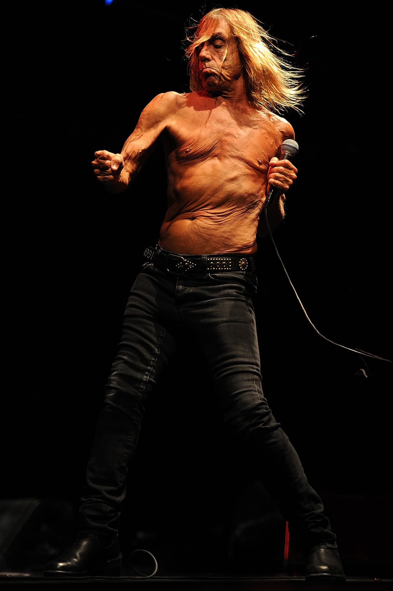 Al movimiento punk de lo 70 con Iggy Pop como representante máximo...