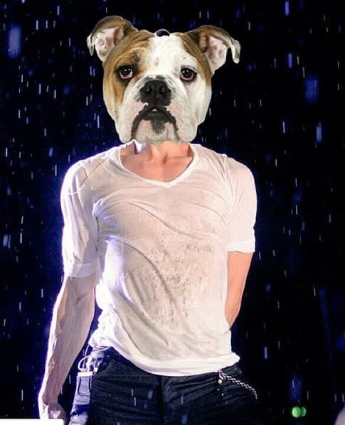 ¿Quién anda por aquí? Es Enrique Iglesias, quien disfruta de poner todo su sentido del humor en la red.