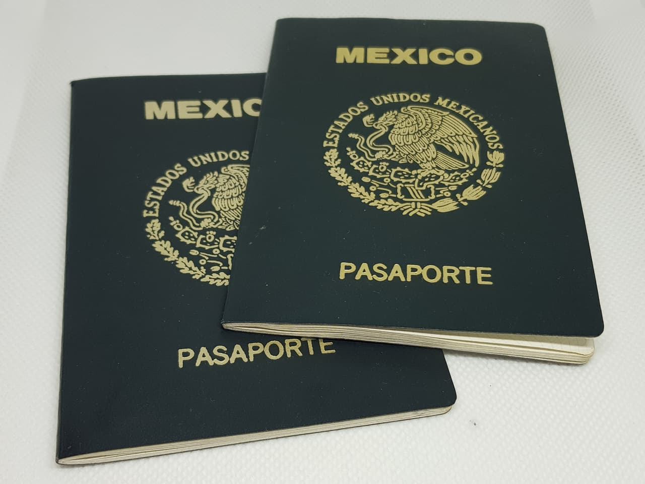 Según la propuesta, se aceptarían también documentos como un pasaporte, un certificado de nacimiento, cualquier identificación emitida por el gobierno o cualquier combinación de documentos que demuestren de manera confiable el nombre y la fecha de nacimiento del solicitante.