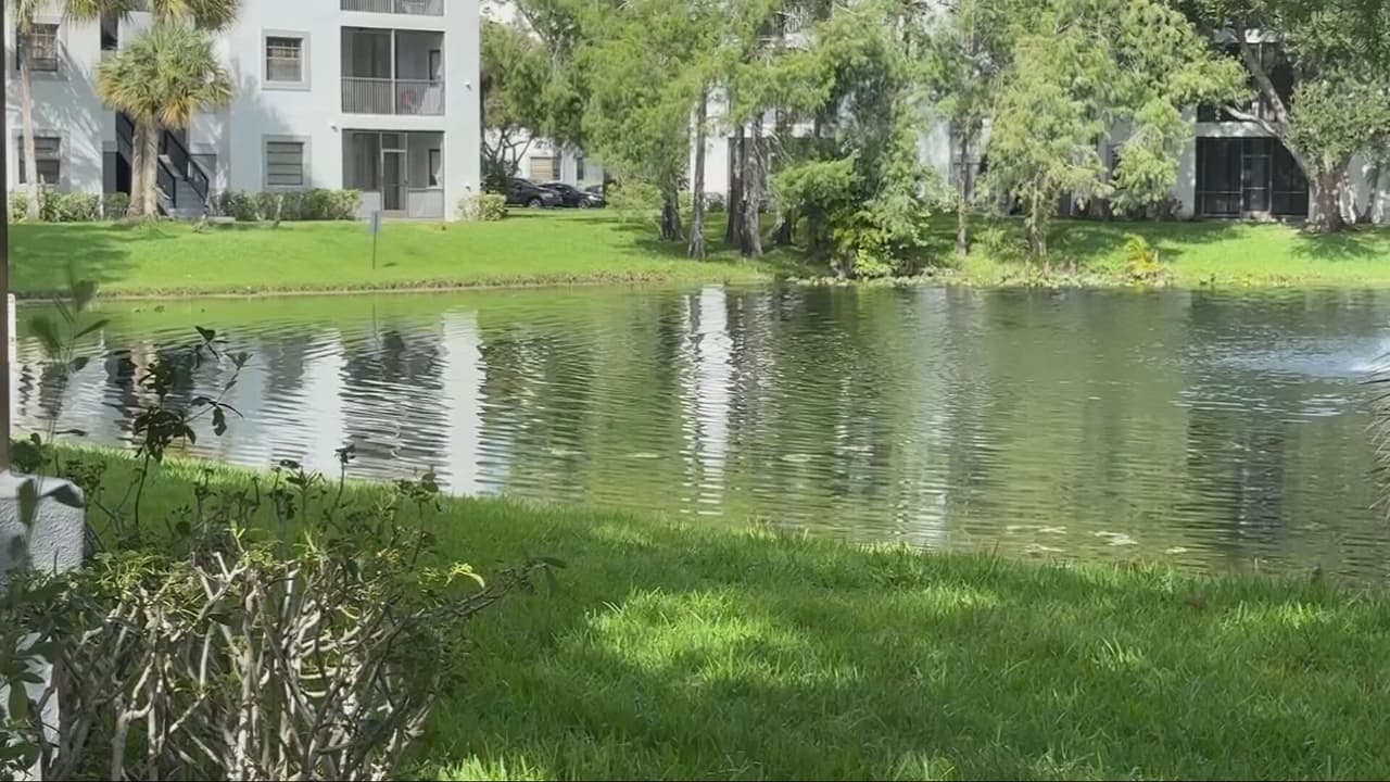 Muere niño de 2 años que fue hallado en un lago en Plantation tras ser reportado como desaparecido