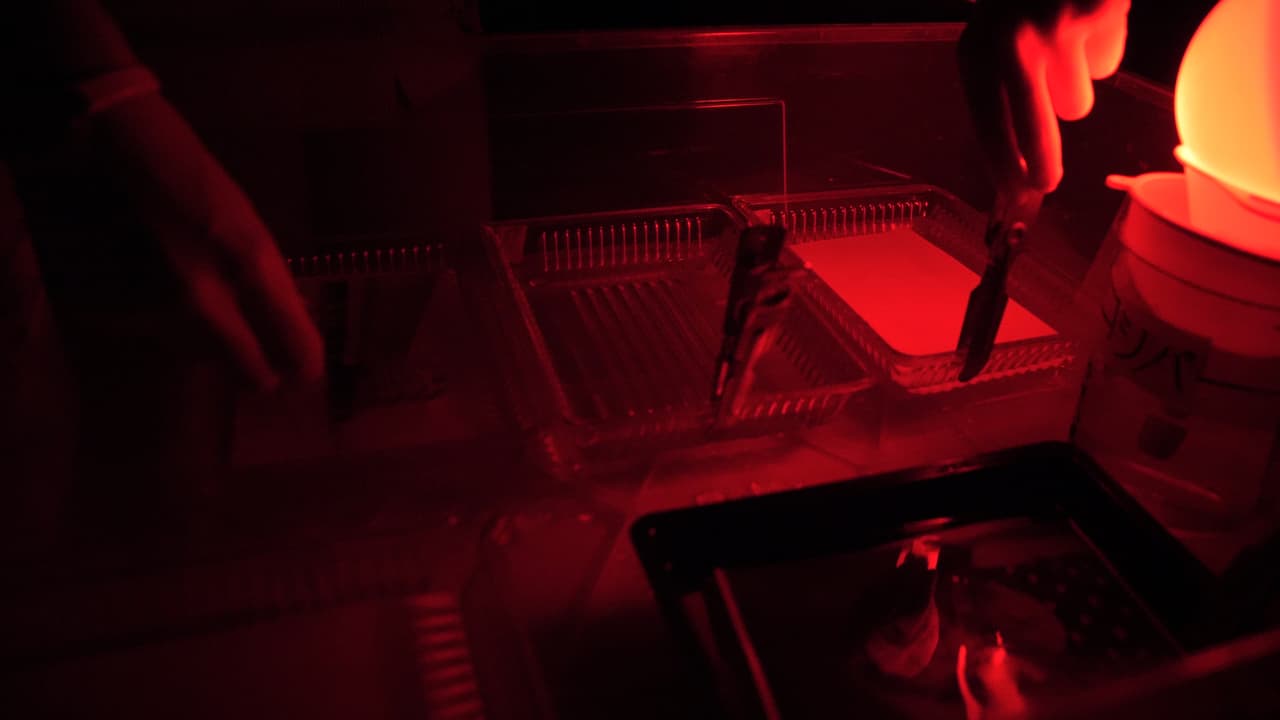 <b>Puesto 11. Laboratorios de revelado fotográfico (excepto los automáticos de una hora de duración). Entre 2009 y 2018: 47.4% menos empleos</b>. En los últimos 10 años, el número de establecimientos que prestan este tipo de servicios disminuyó en un 38.8%.