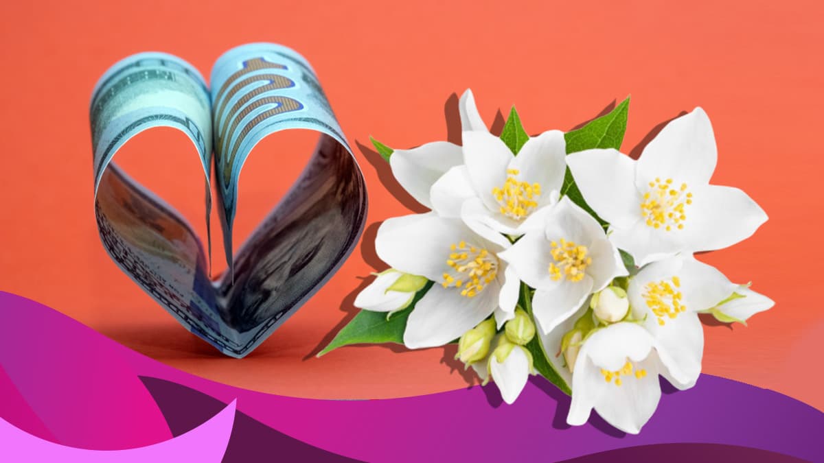 Los jazmines son unas de las flores más populares en la actualidad, gracias no sólo a su hermosura sino también porque tienen una fragancia muy particular que incluso es ingrediente básico en muchos perfumes. Pero dentro del mundo de la magia blanca, también tiene sus particulares usos.