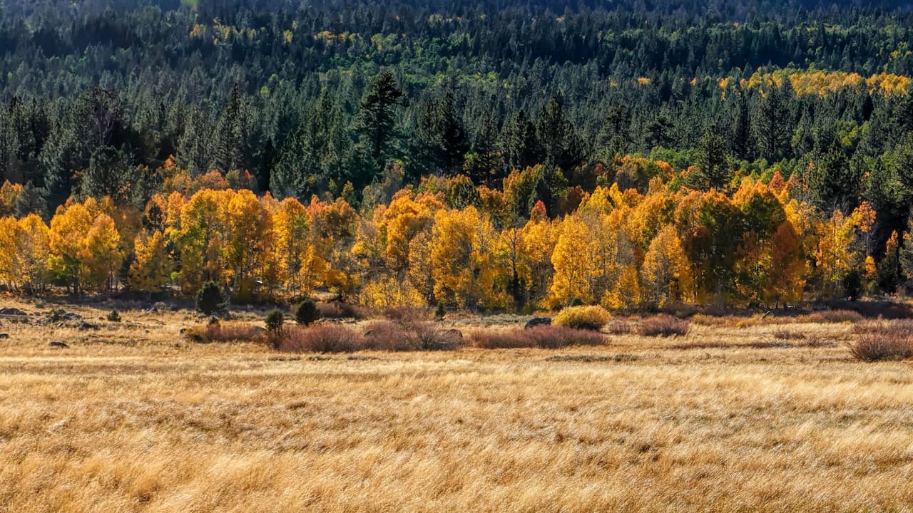 <h2 class="cms-H2-H2">Hope Valley</h2>
<br>
<br>Otro de los
<b>escenarios ideales en el norte de California para disfrutar y envolverse en los colores del otoño</b>. Este es uno de los lugares favoritos para realizar actividades al aire libre; sin embargo, durante el otoño, su magia se revoluciona con los colores propios de la temporada.