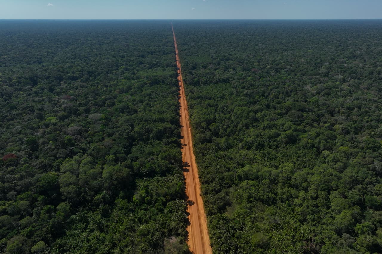 El futuro de la Amazonía se disputará en las elecciones de este domingo