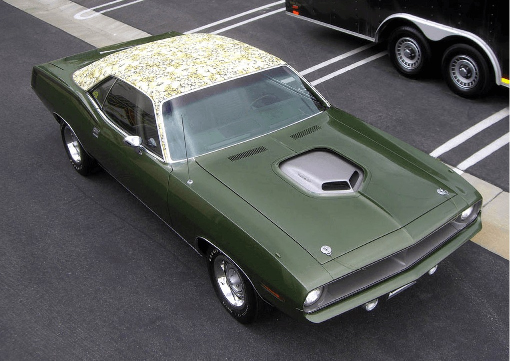 Barracuda valorado en $1.4 millones desaparece de Westchester