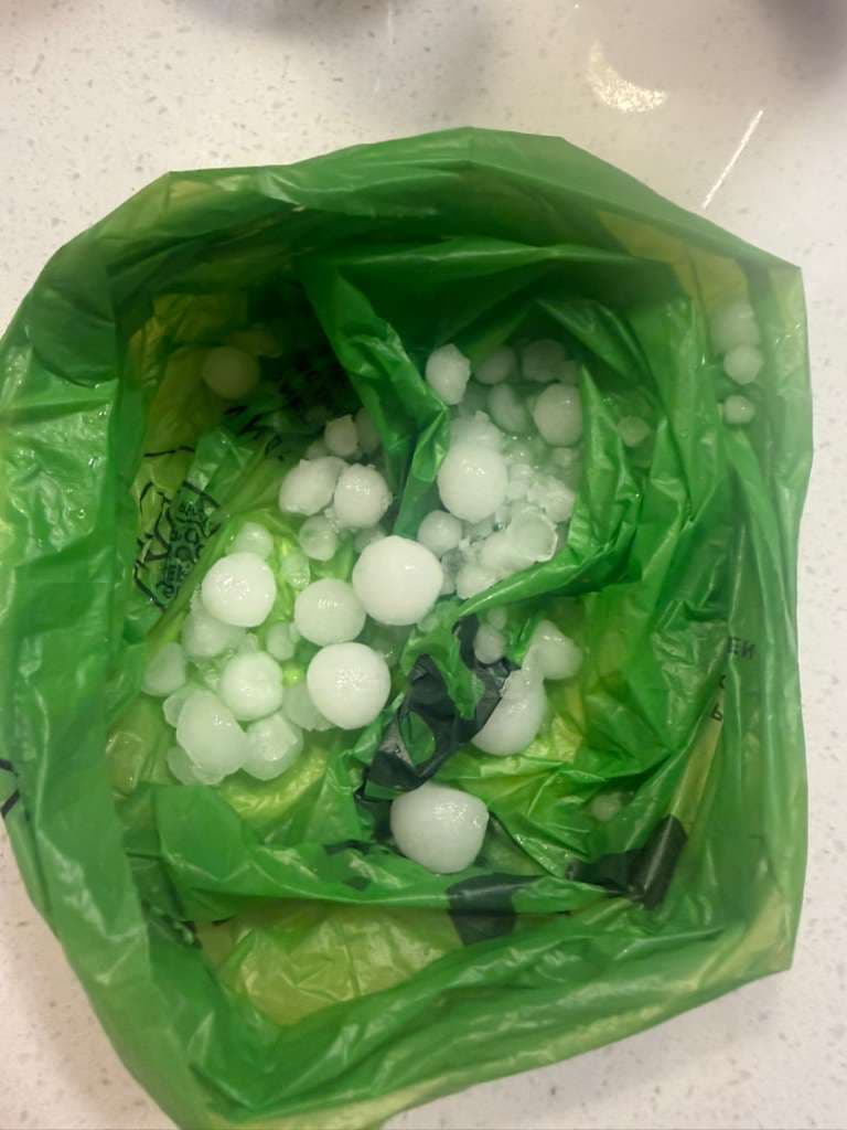 Varios usuarios reportaron la caída de este granizo junto con la lluvia durante la
<b> tarde noche de este 10 de marzo.</b>