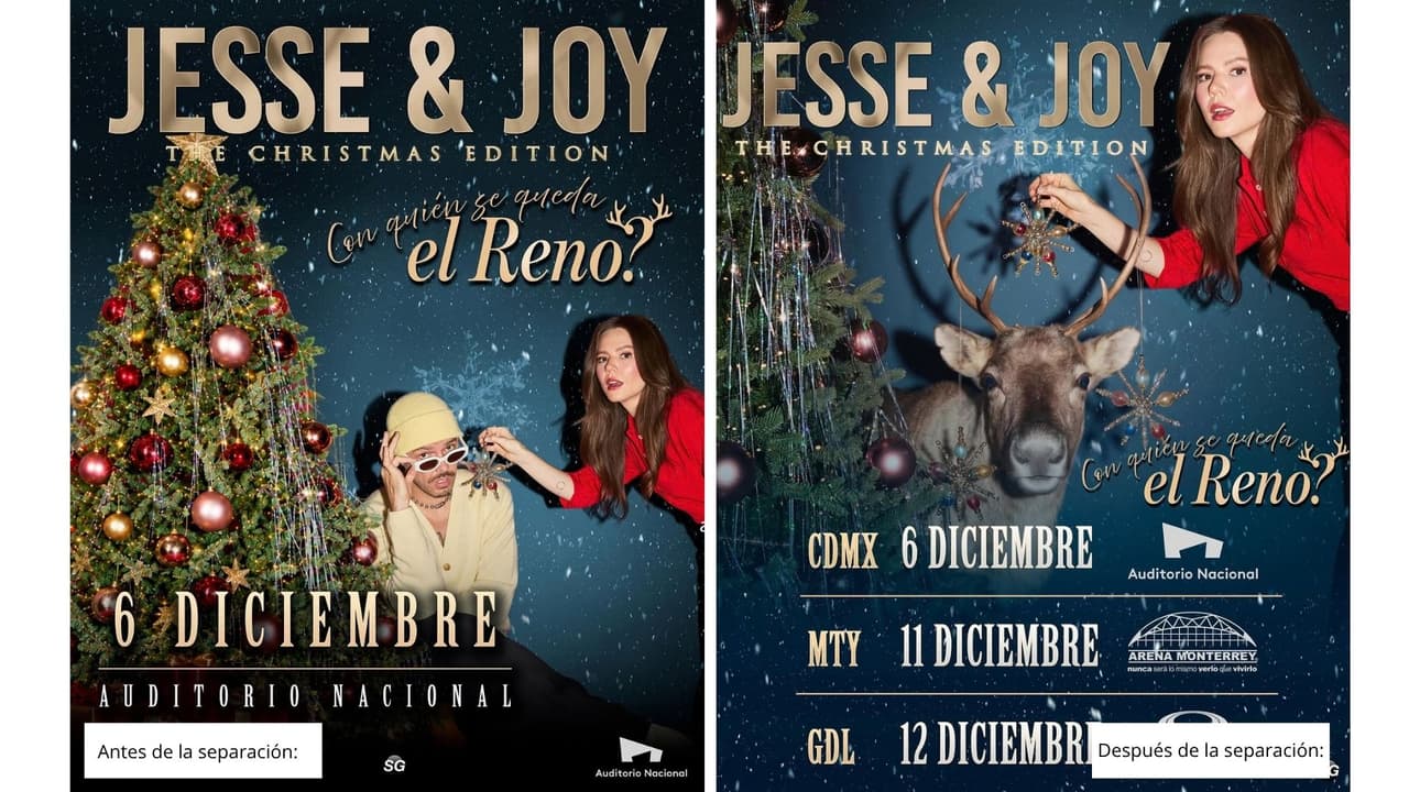 Joy suplió en el póster promocional de sus próximos conciertos a su hermano con un reno.