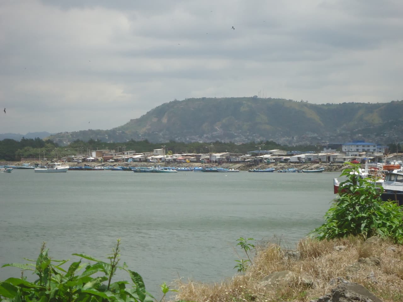 <b>Puesto 7. Terremoto de la frontera entre Colombia y Ecuador, magnitud 8.8. Cerca de la provincia costera de Esmeraldas, al norte de Ecuador, enero de 1906.</b> La fuerza del sismo produjo un tsunami que arrasó el pueblo ecuatoriano de Río Verde. Se calcula que entre 1,000 y 1,500 personas perdieron la vida. Algunas olas de hasta 20 pies de altura (unos 5.8 metros) llegaron a Hawaii, Costa Rica, México y Japón.