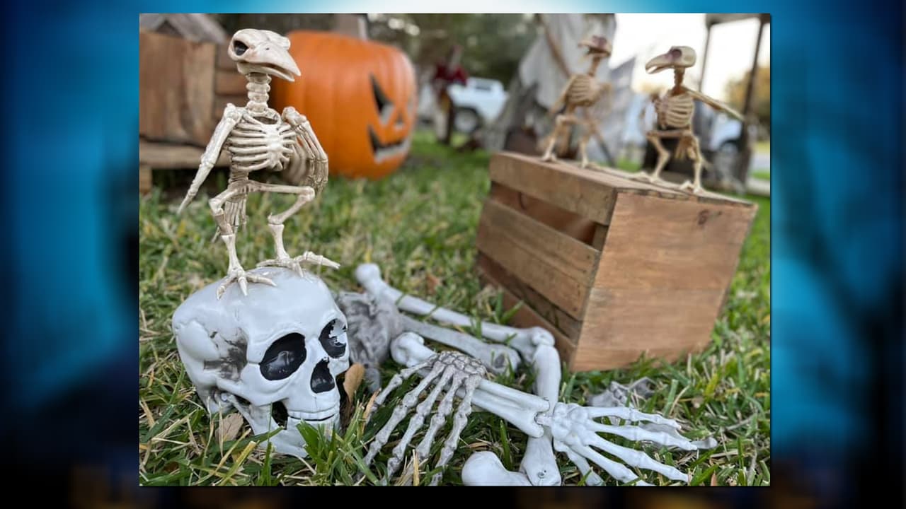 <b>Hidden Lake Haunts</b>: Puedes visitar esta casa encantada, llena de detalles y sorpresas.
<b>La entrada</b> por persona es
<b>cualquier alimento no perecedero</b> para Bountiful Community Food Pantry. Estará abierta del 14 al 29 de octubre de 7 a 10 pm, y claro también el día 31. Dirección: 277 Hidden Lake Drive, Bountiful.