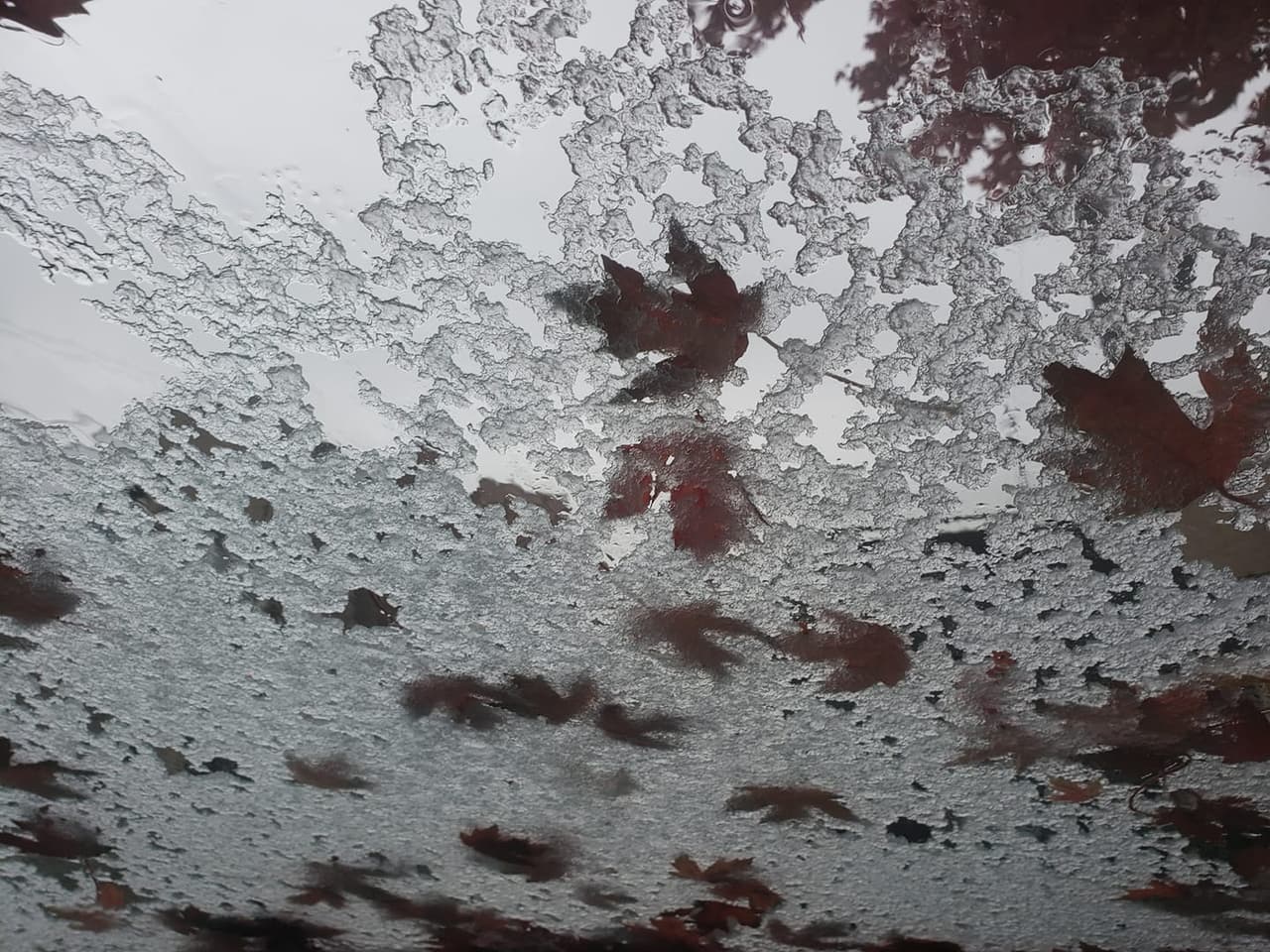 "Tiene su lado bonito, otoño y invierno juntos"