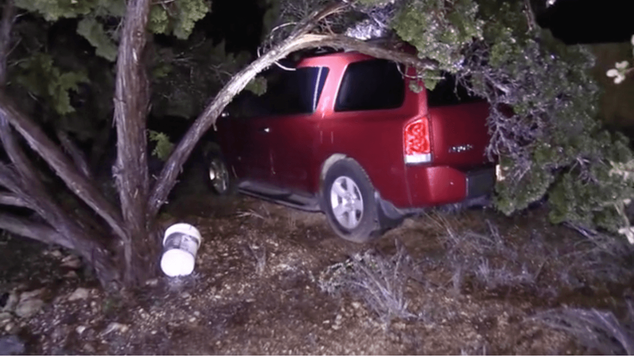 En la casa de Elsa Ibarra, una residente de Bulverde, una gran rama cayó sobre una camioneta. "Nunca pensamos de que ese árbol podía caer", dijo la vecina.