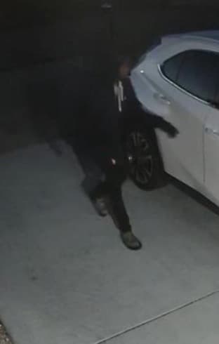 No obstante, otro sospechoso entró el lunes 30 de mayo aproximadamente a las 6:00 am a varios autos en la comunidad de Jasmine Lakes en Port Richey.