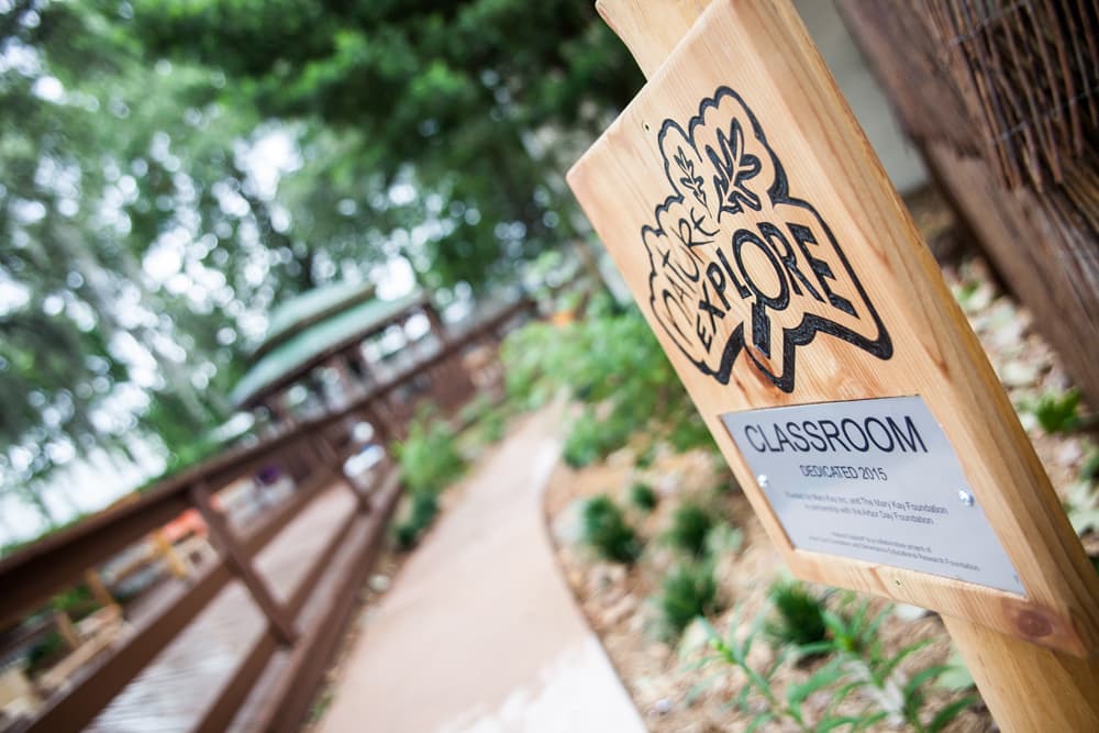 Albergues para niños víctimas de abuso