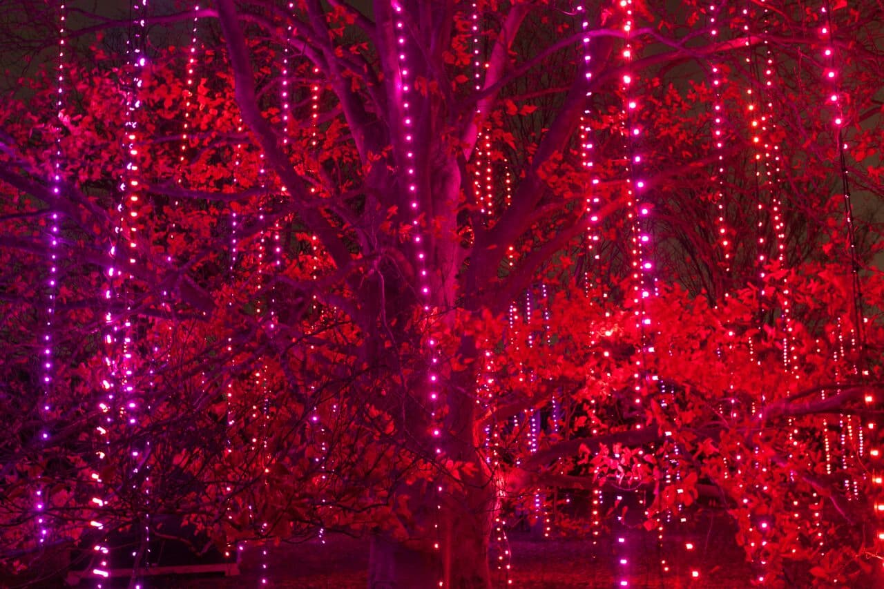 Ha llegado esa época del año en el que toda la ciudad se ilumina de Navidad.