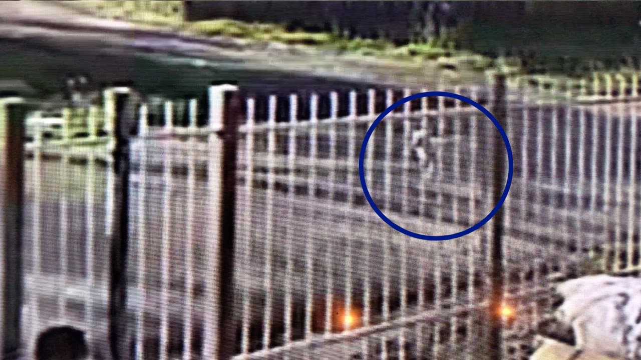 El pasado 13 de junio, una mujer denunció que su
<a href="https://www.univision.com/local/houston-kxln/perro-lleva-a-su-duena-un-craneo-humano">mascota había encontrado</a> un cráneo humano.