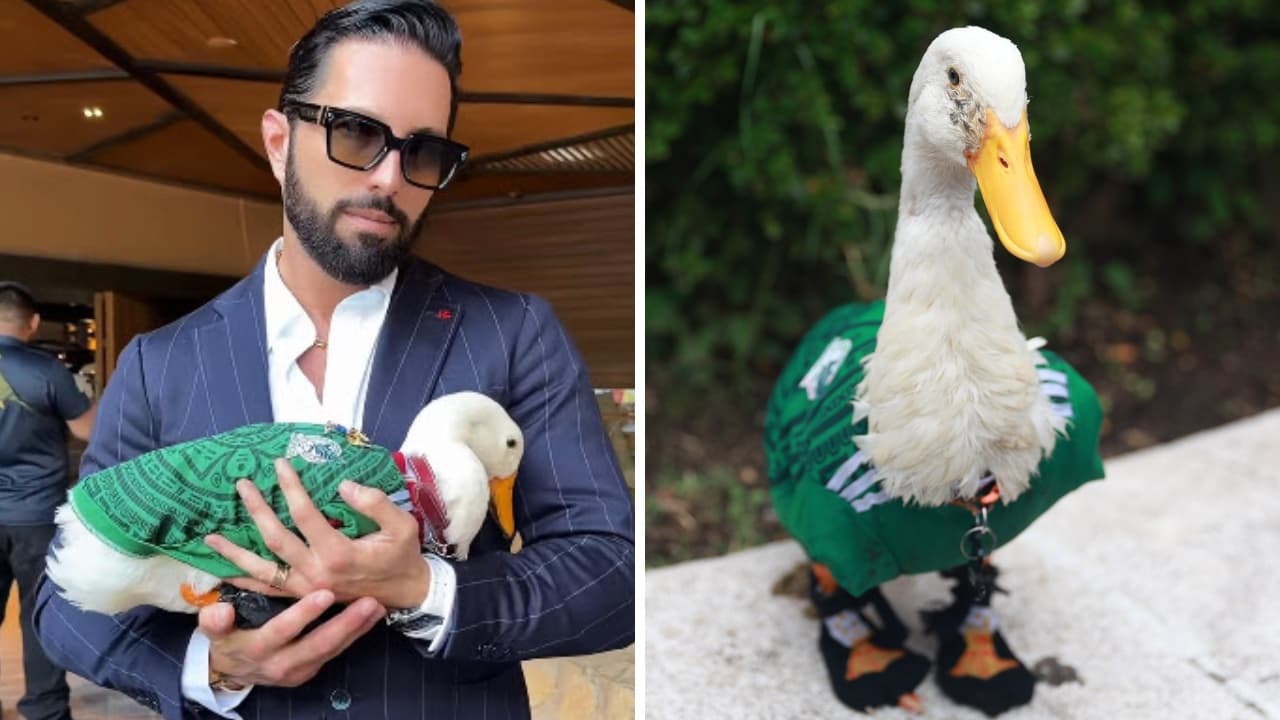 ¿Poncho de Nigris compró al pato Merlín por más de 45 mil dólares? Familia del ave rompe el silencio