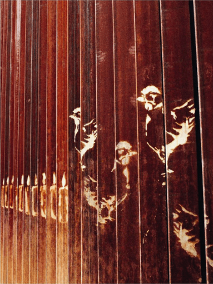 "En California, los artistas han hecho del muro su lienzo, humanizándolo, dándole vida y color"