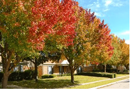 Si estas pensando en comprar casa, esta ciudad en el norte de Texas se encuentra entre las mejores para compradores de vivienda