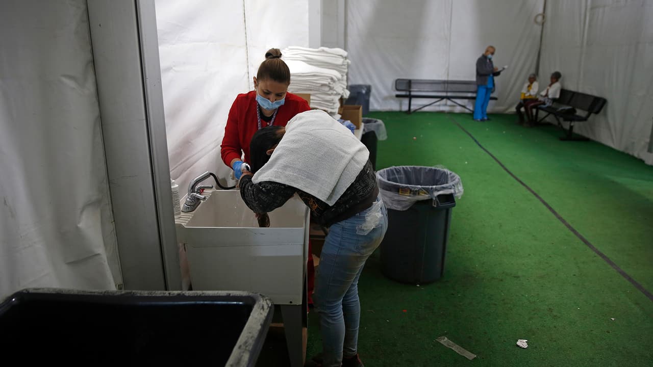 Los perros, los gatos y otras mascotas no tienen nada que ver con la transmisión de piojos humanos, advierten los CDC.