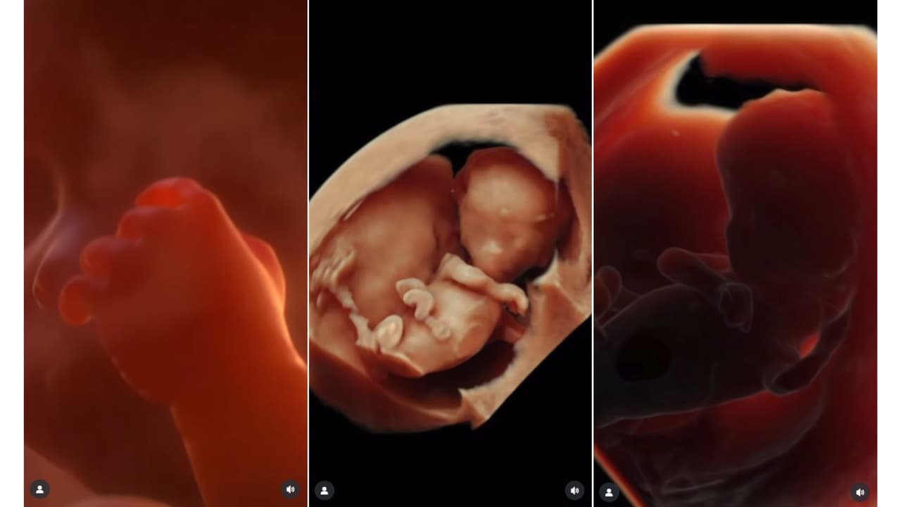 Compartieron las primeras imágenes de 'Baby Fernández'.