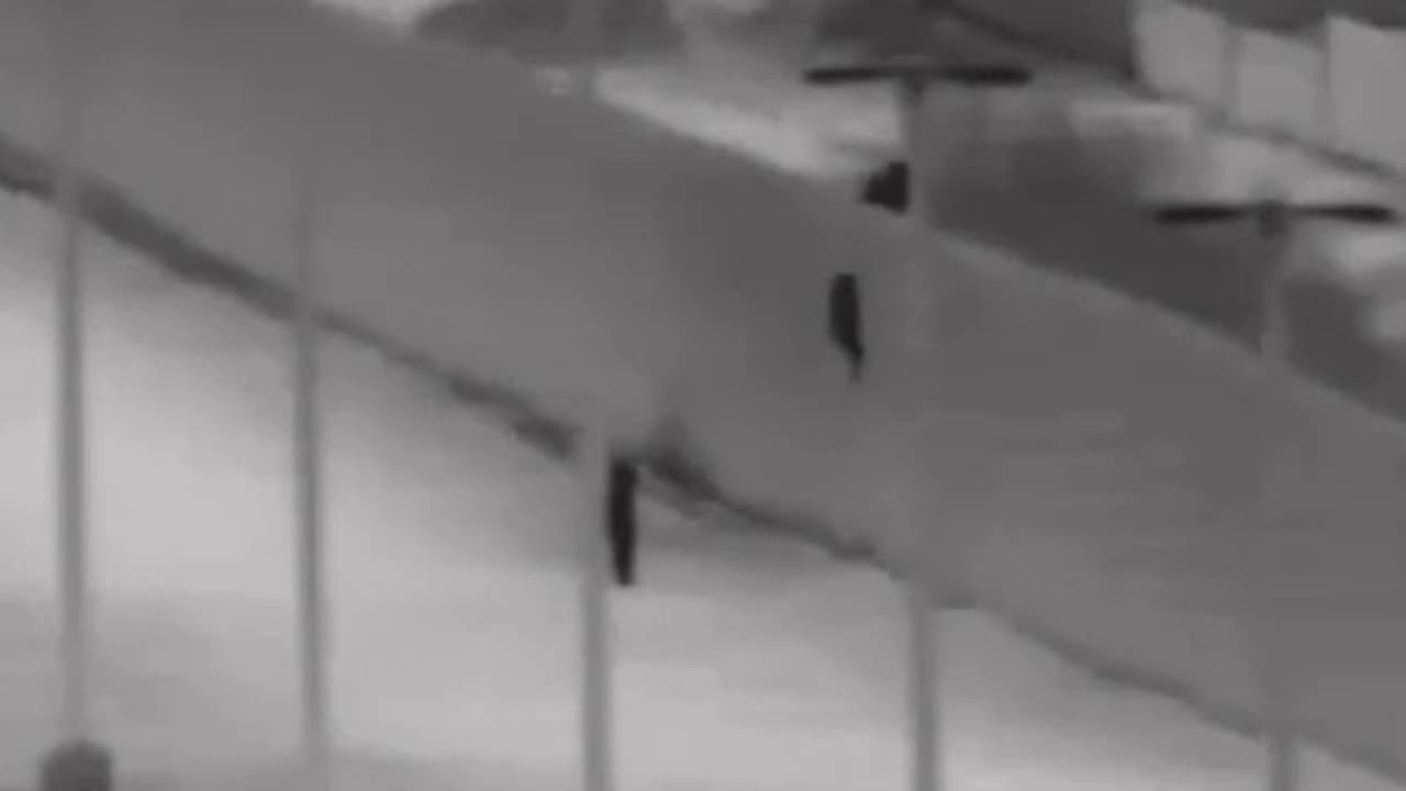 Imágenes muestran a dos niños siendo lanzados por la valla fronteriza en Arizona