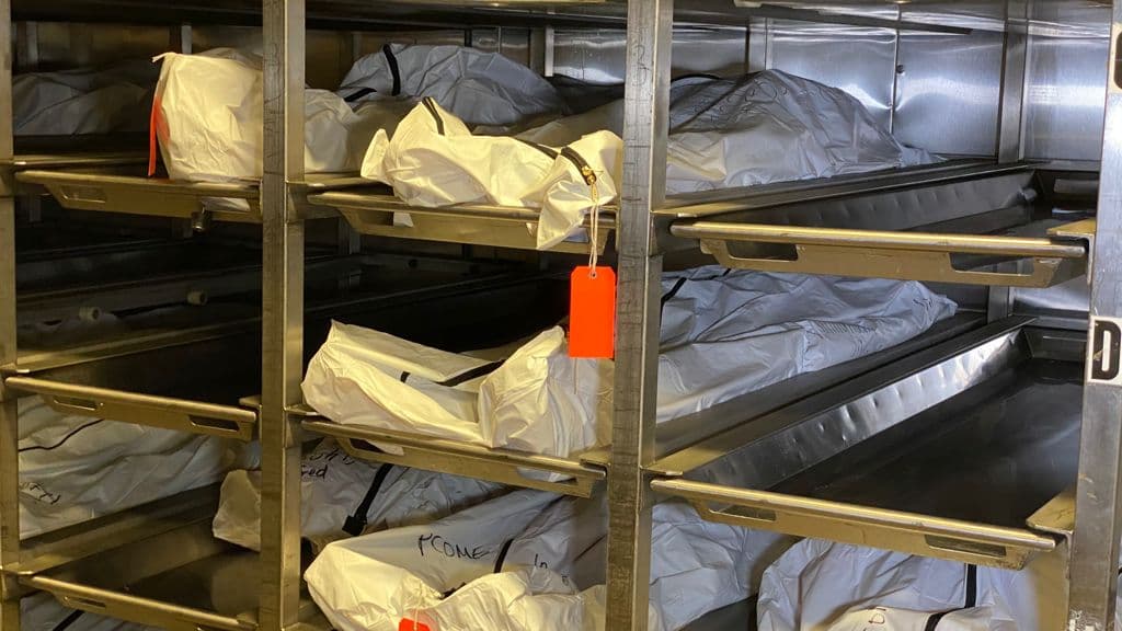 Algunos de ellos traen identificaciones, tarjetas de crédito, pasaportes, celulares y pertenencias que facilitan el reconocimiento de los cuerpos, pero hay un alto porcentaje de personas que cuando se encuentran no traían nada. Estos tienen una etiqueta naranja que dice desconocido.