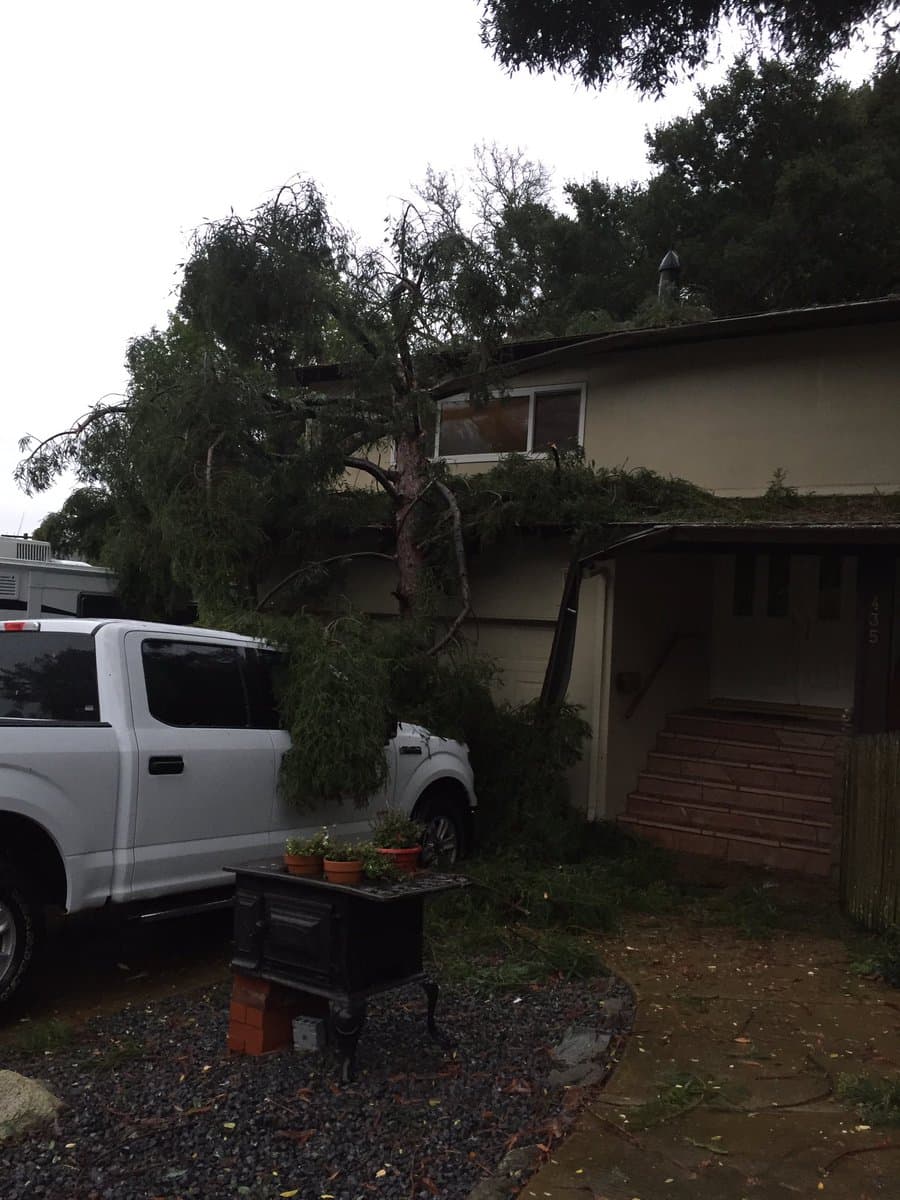 Un árbol caído en una casa de Loma Verde, en Novato, en el condado de Marin.